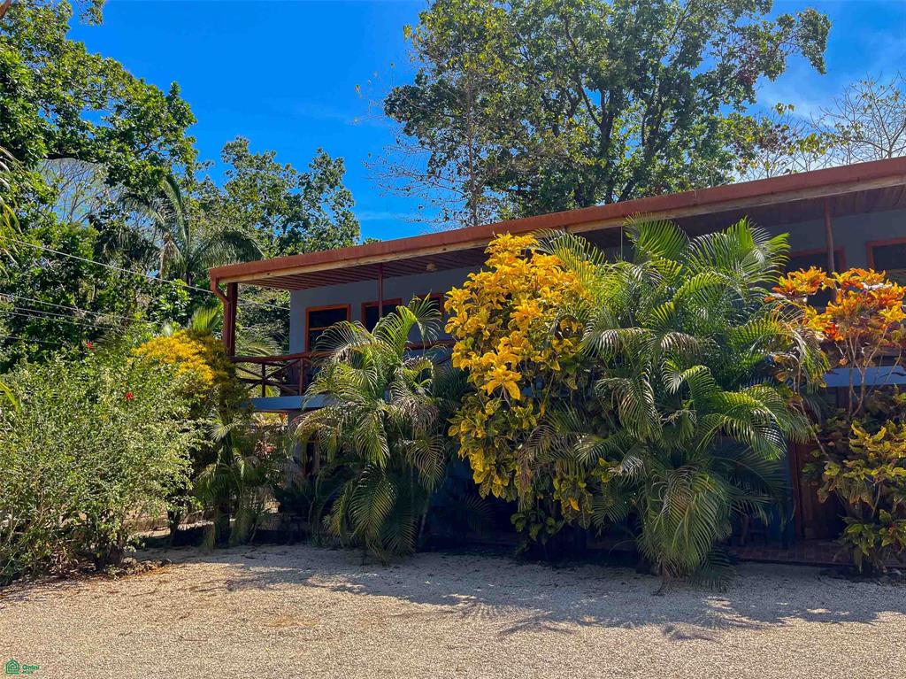 Income Opportunity Retreat Nosara Guanacaste