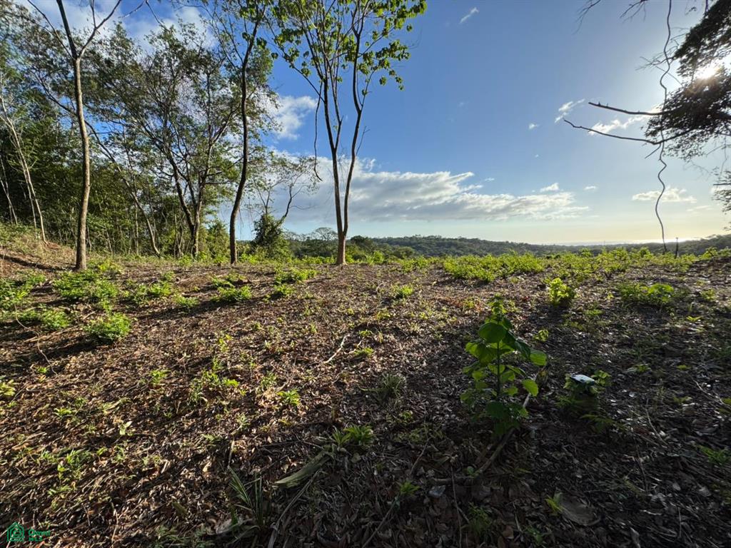 Emerald Woods Marbella Cuajiniquil Guanacaste