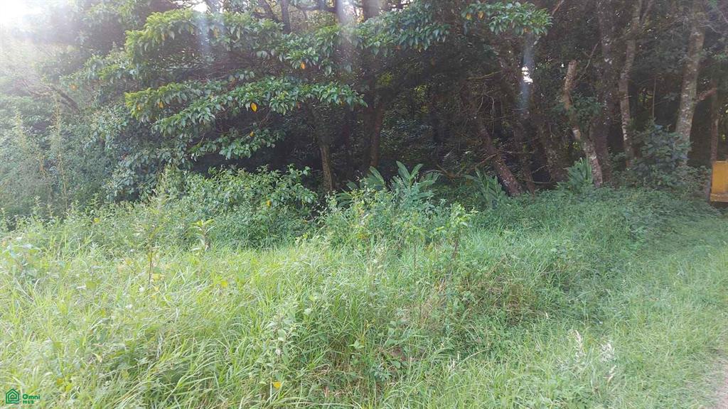 San Rafael Heredia Concepcin Heredia