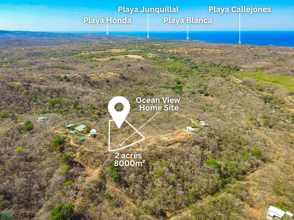 Pura Jungla 9 Veinticiete De Abril Guanacaste