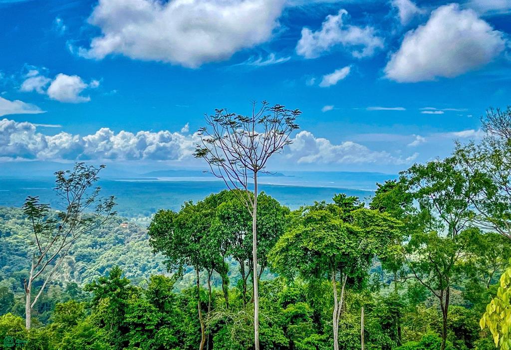Tres Rios Puntarenas
