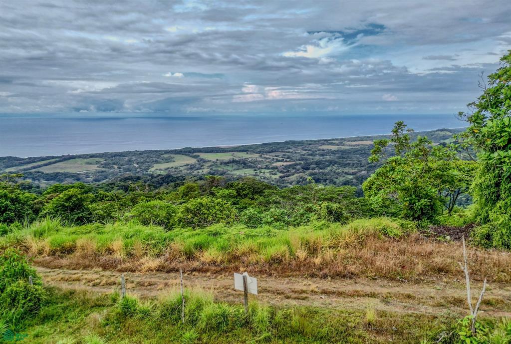 Hatillo Puntarenas