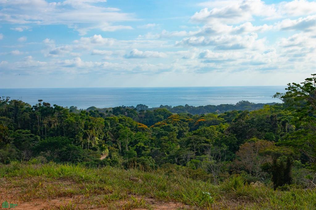 Uvita Puntarenas