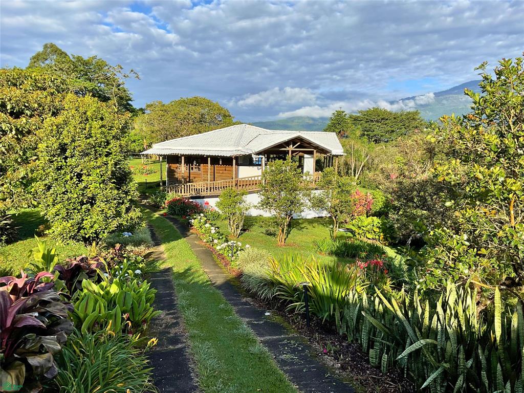 Verbena Norte Santa Cruz Cartago
