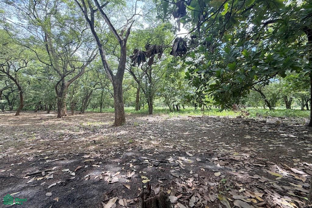 Ruta Nacional Secundaria 160 Tamarindo Guanacaste