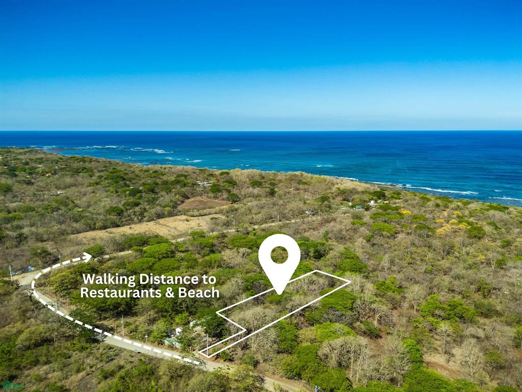 Bosque Escondido Playa Avellanas Tamarindo Guanacaste