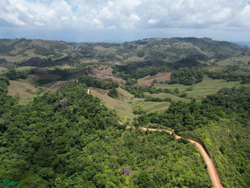 Uvita Puntarenas