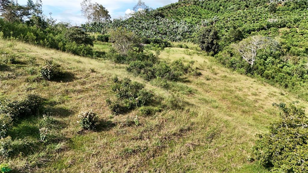 Lot Brisas Del Sur Platanares San Jose