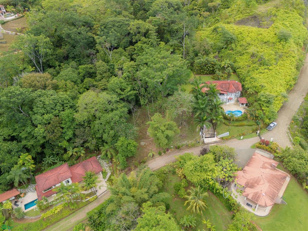 Punta Mala Baha Ballena Puntarenas