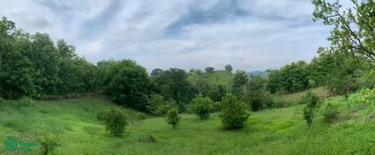 108 Hojancha Guanacaste