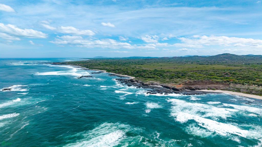 Pura Jungla Reserve Cabo Velas Guanacaste