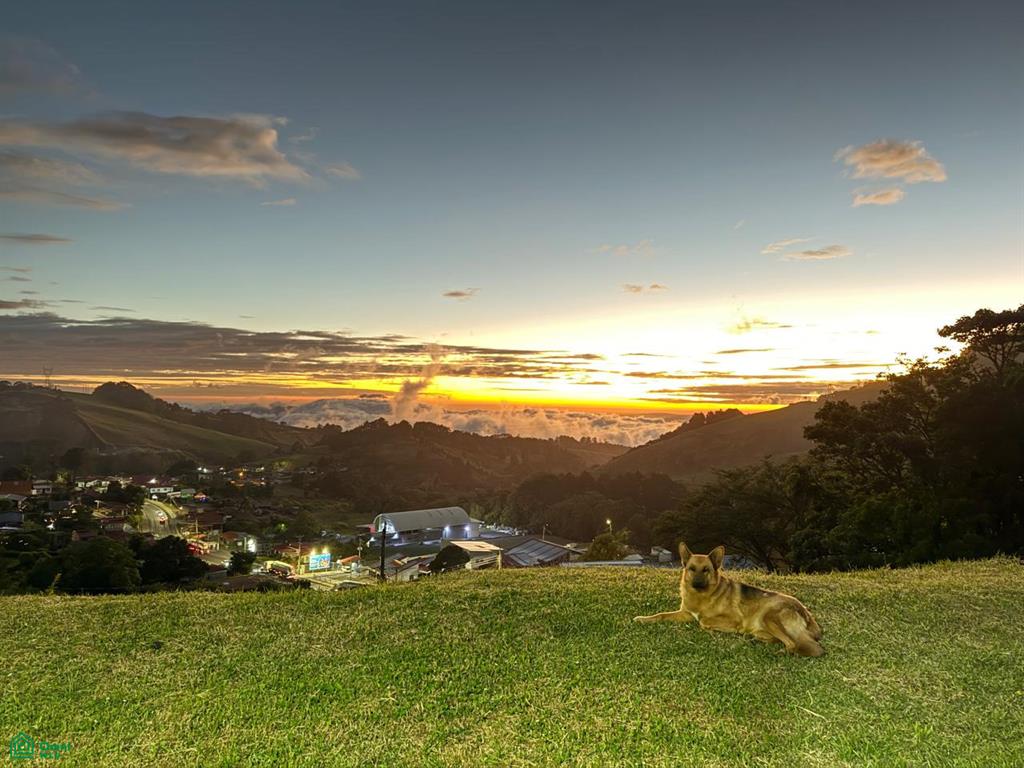 Ruta Nacional 141 Alajuela