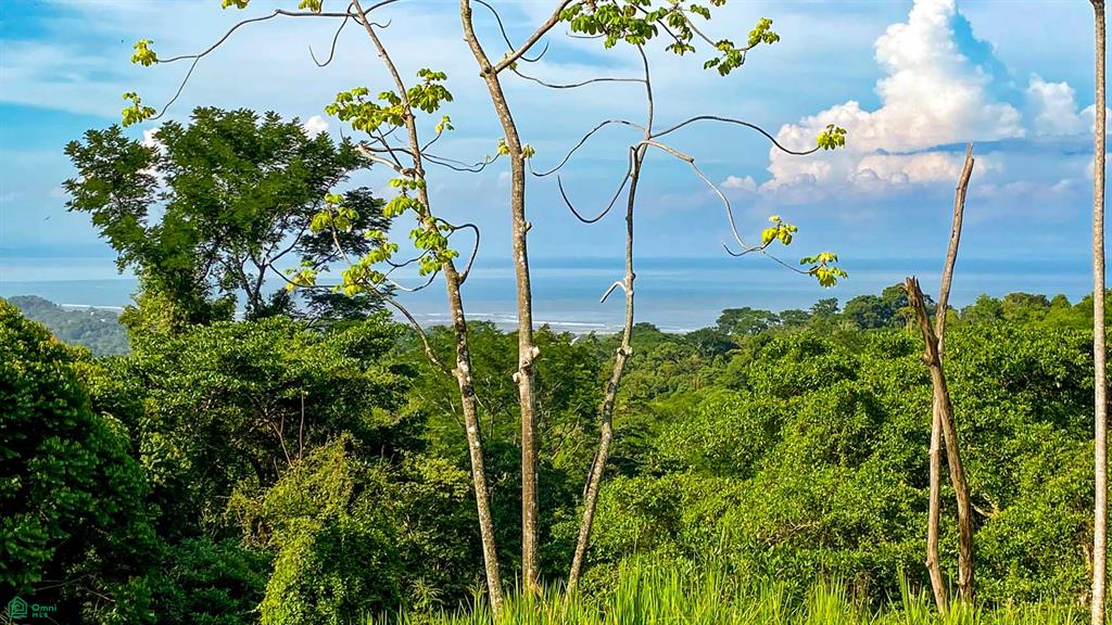 Ojochal Phase 6 Puerto Corts Puntarenas