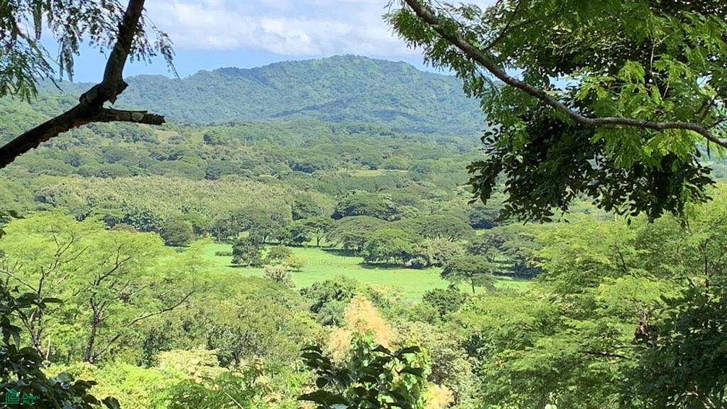 Lorena Cartagena Guanacaste