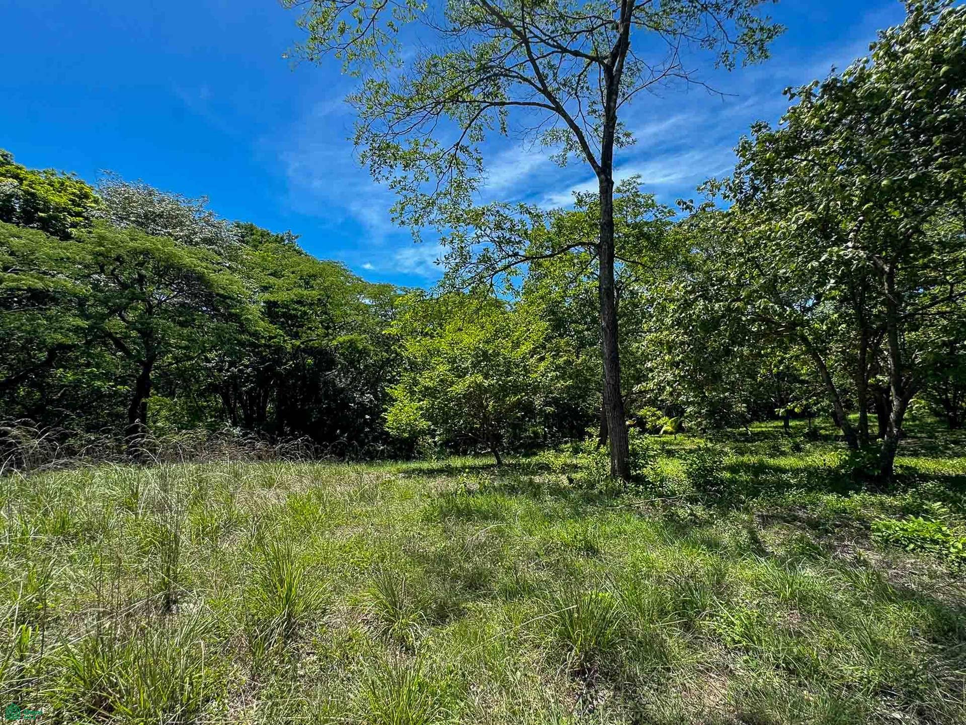 Acreage Estate Lot, Tamarindo, Santa Cruz, Guanacaste, Costa Rica 50309 Acreage Estate Lot, Tamarindo, Santa Cruz, Guanacaste, Costa Rica 50309