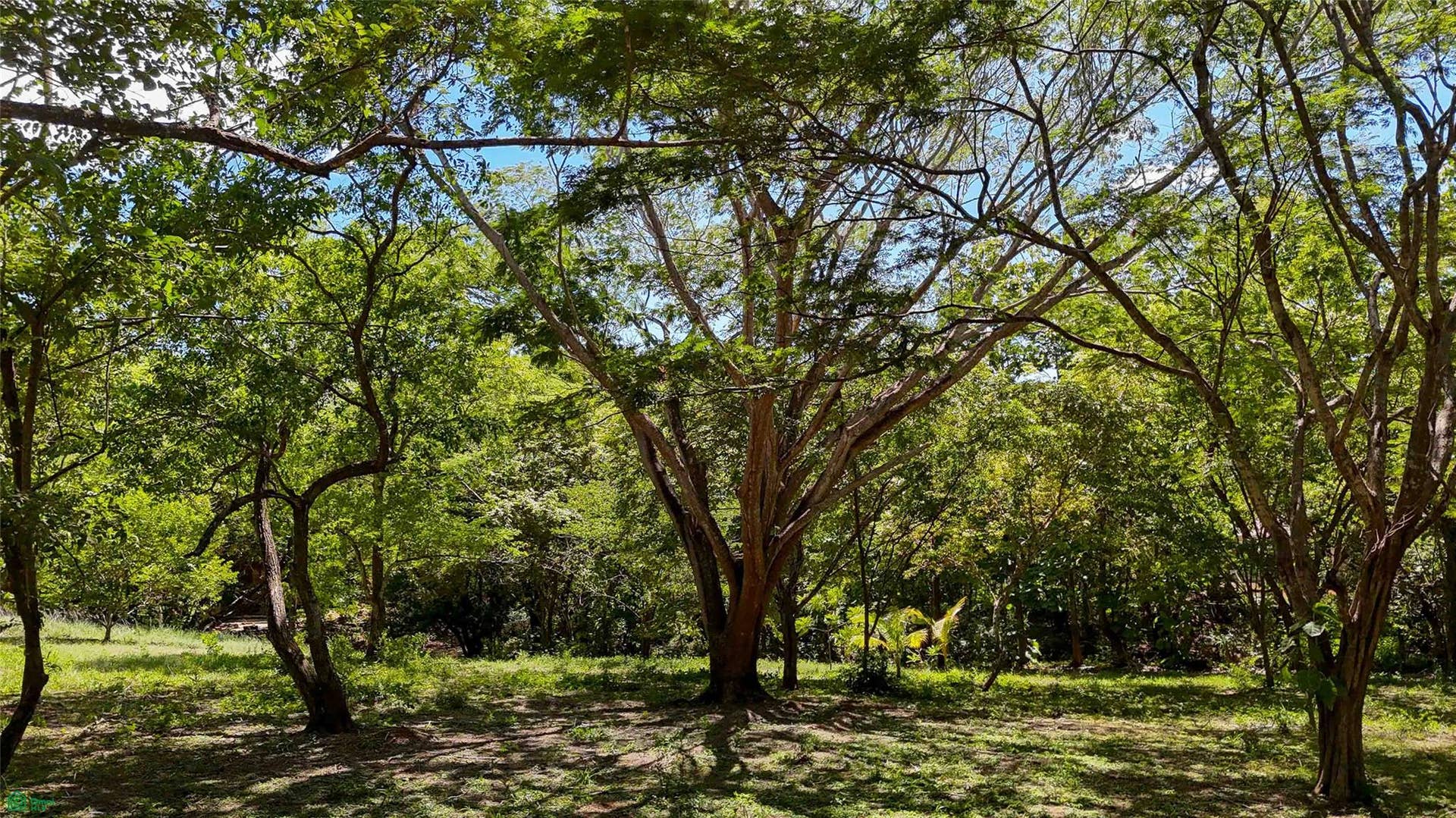 Acreage Estate Lot, Tamarindo, Santa Cruz, Guanacaste, Costa Rica 50309 Acreage Estate Lot, Tamarindo, Santa Cruz, Guanacaste, Costa Rica 50309