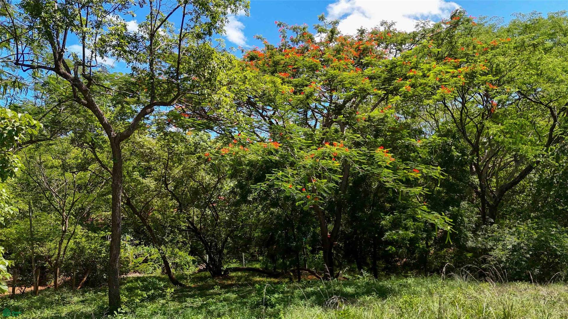 Acreage Estate Lot, Tamarindo, Santa Cruz, Guanacaste, Costa Rica 50309 Acreage Estate Lot, Tamarindo, Santa Cruz, Guanacaste, Costa Rica 50309