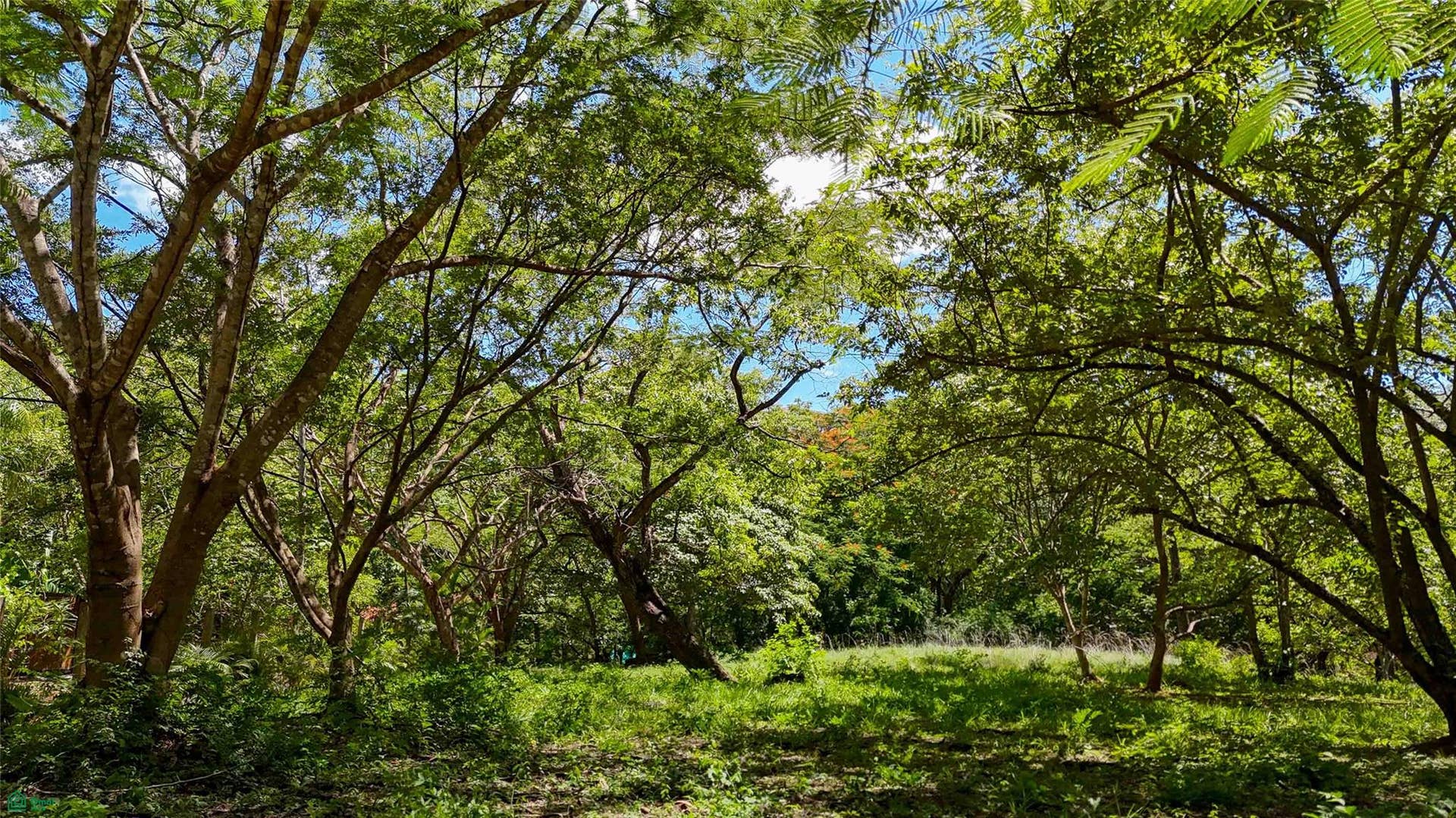 Acreage Estate Lot, Tamarindo, Santa Cruz, Guanacaste, Costa Rica 50309 Acreage Estate Lot, Tamarindo, Santa Cruz, Guanacaste, Costa Rica 50309