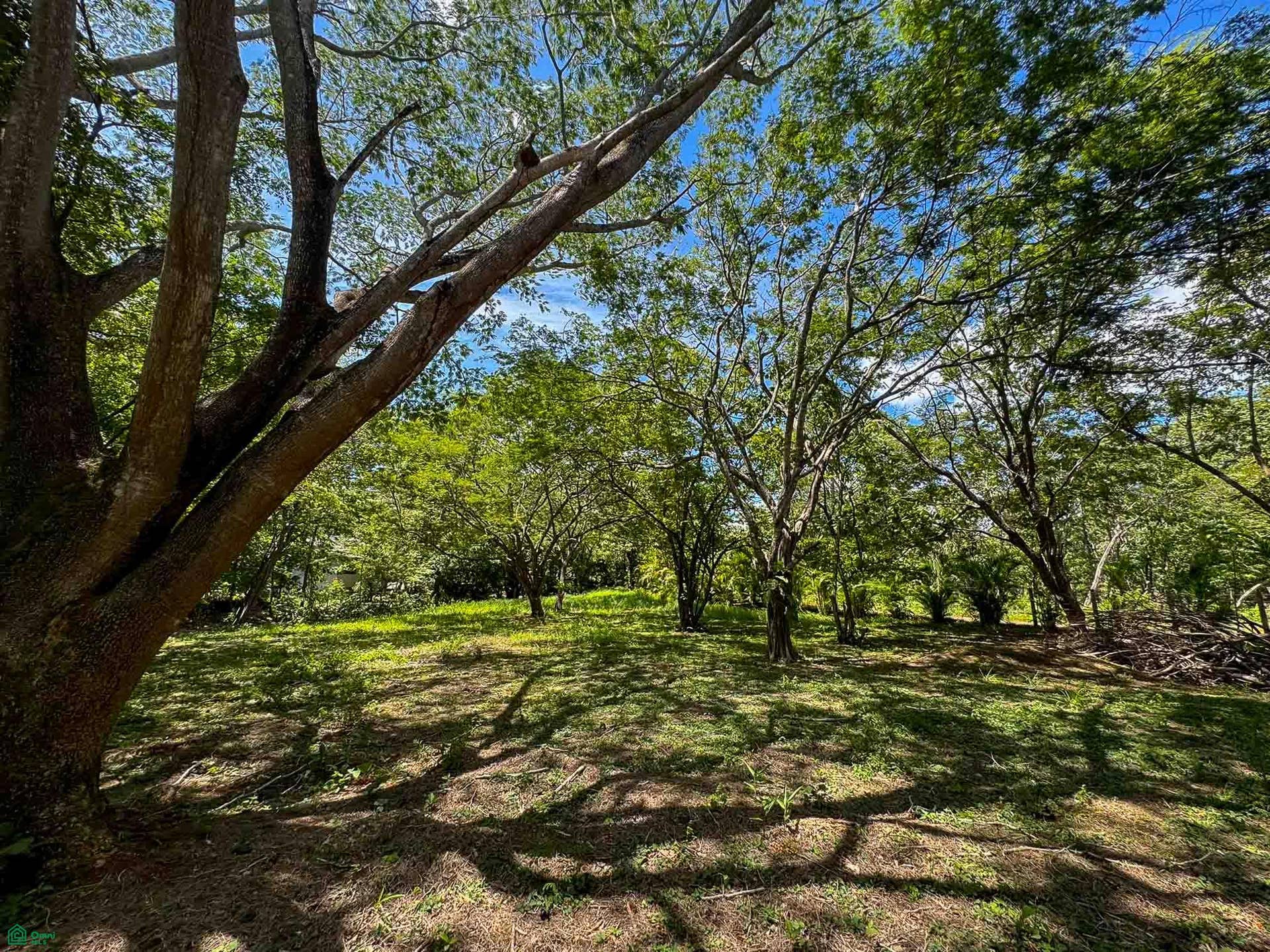 Acreage Estate Lot, Tamarindo, Santa Cruz, Guanacaste, Costa Rica 50309 Acreage Estate Lot, Tamarindo, Santa Cruz, Guanacaste, Costa Rica 50309