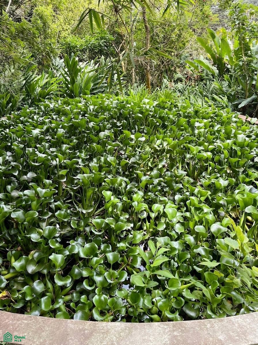 San Rafael, La Carpintera, Tres Ros, La Union, Cartago, Costa Rica 30301