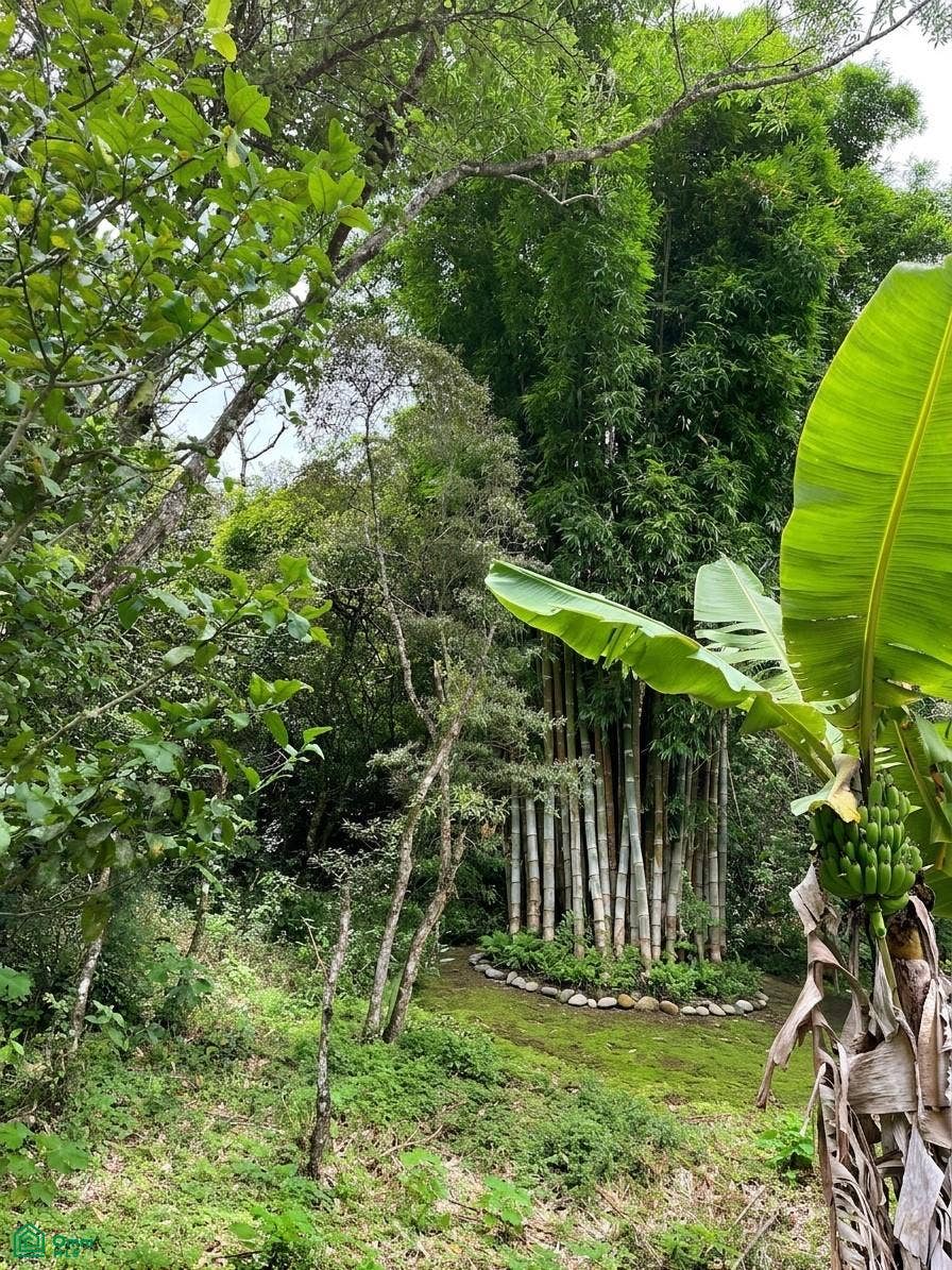 San Rafael, La Carpintera, Tres Ros, La Union, Cartago, Costa Rica 30301