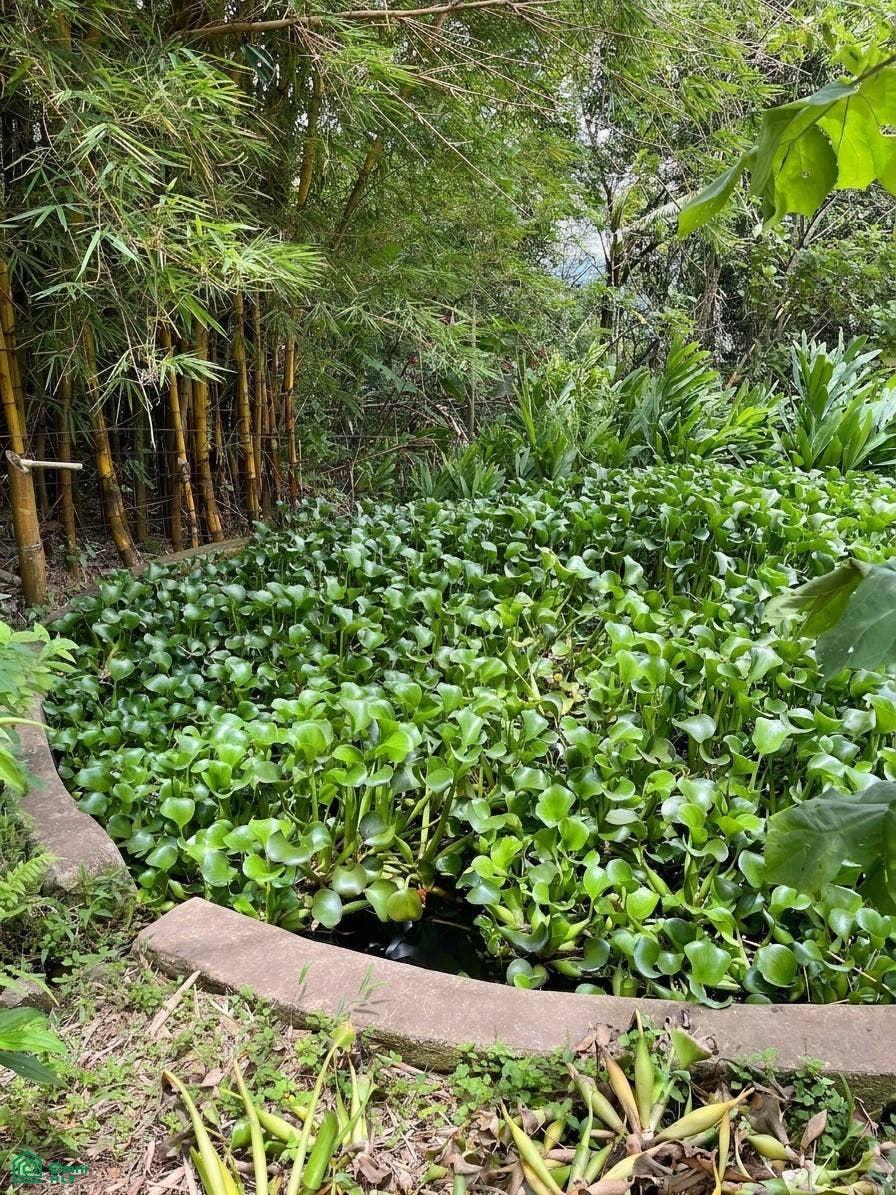 San Rafael, La Carpintera, Tres Ros, La Union, Cartago, Costa Rica 30301