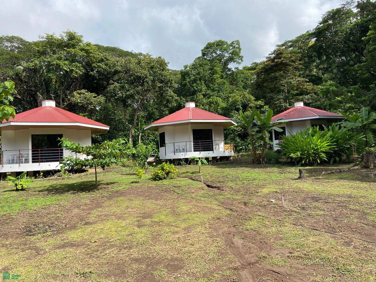 La Selva Azul, Cabuya, Cbano, Puntarenas, Puntarenas, Costa Rica 60111