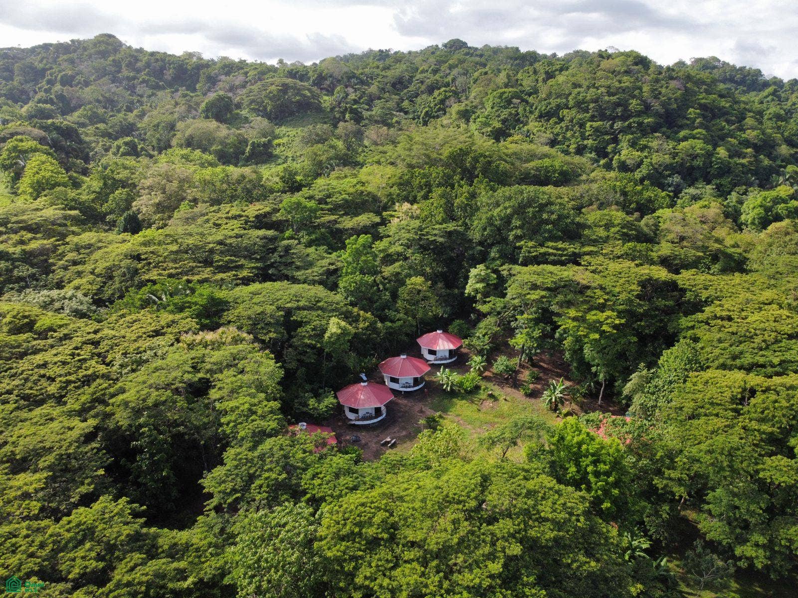 La Selva Azul, Cabuya, Cbano, Puntarenas, Puntarenas, Costa Rica 60111
