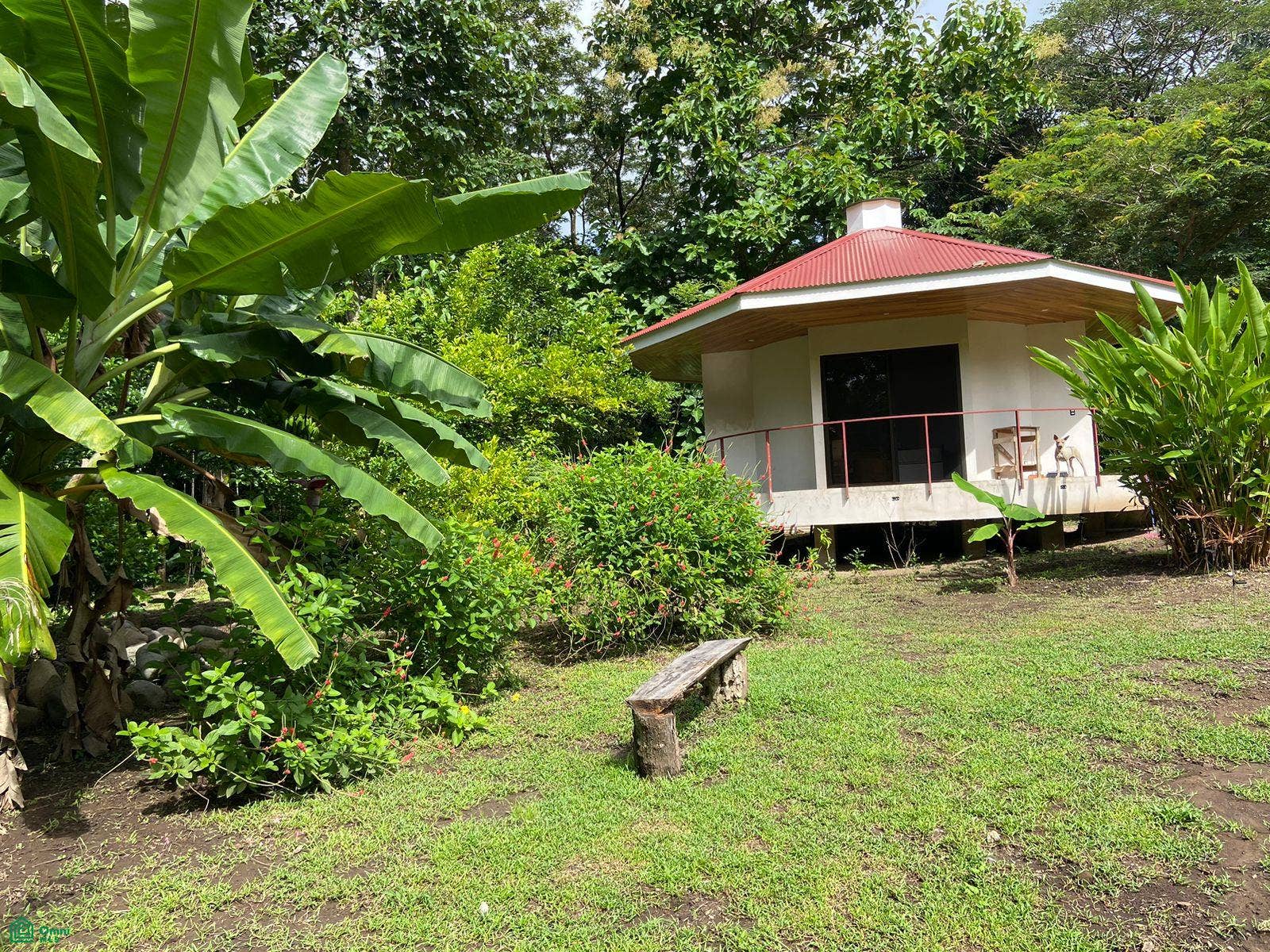 La Selva Azul, Cabuya, Cbano, Puntarenas, Puntarenas, Costa Rica 60111