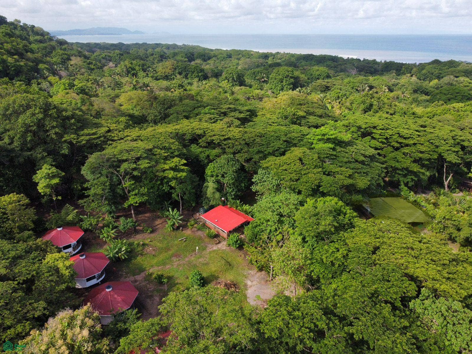 La Selva Azul, Cabuya, Cbano, Puntarenas, Puntarenas, Costa Rica 60111