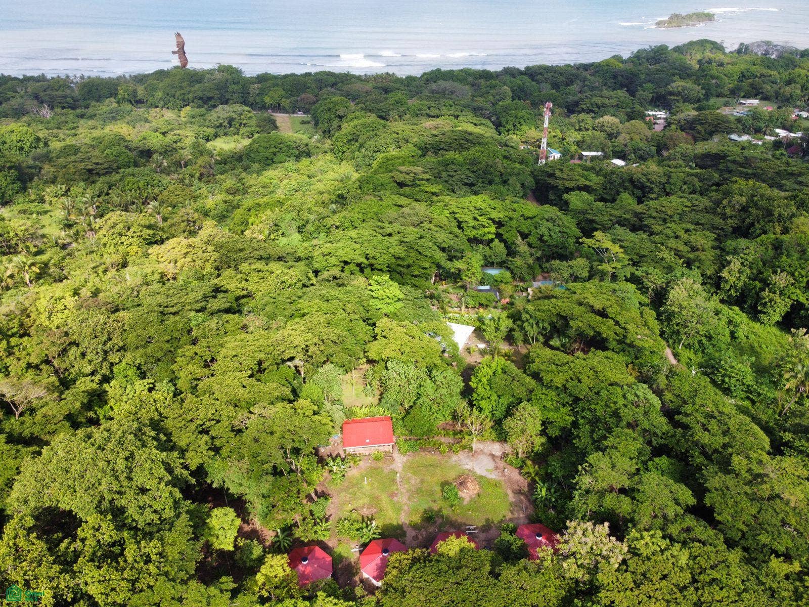 La Selva Azul, Cabuya, Cbano, Puntarenas, Puntarenas, Costa Rica 60111