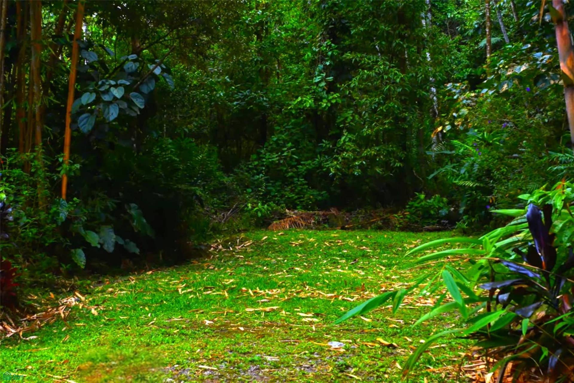 Casitas Chirripó, Chirripo, Rivas, Perez Zeledon, San Jose, Costa Rica 11904