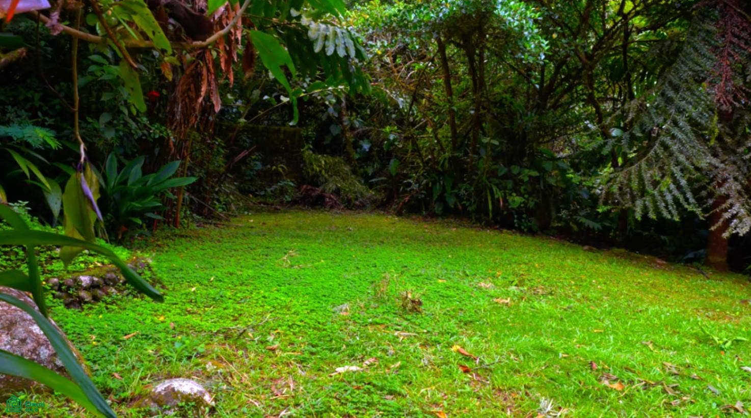 Casitas Chirripó, Chirripo, Rivas, Perez Zeledon, San Jose, Costa Rica 11904