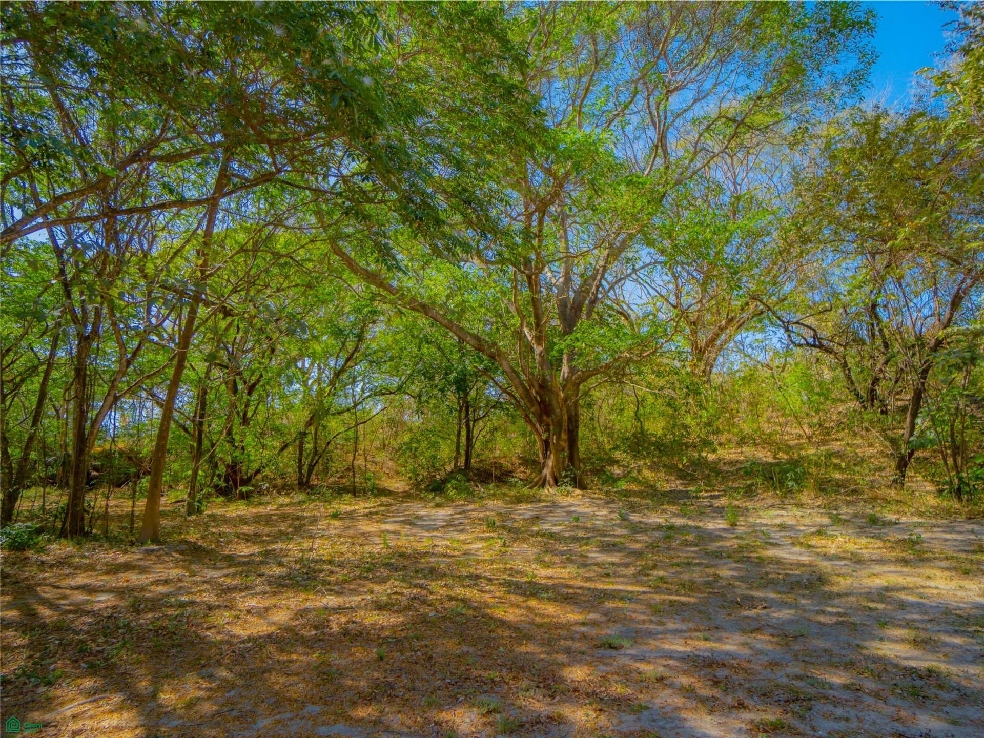 Condominio el Sitio, Liberia, Liberia, Guanacaste, Costa Rica 50101