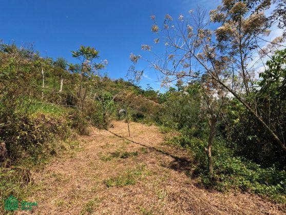 Finca en venta 2.4 hectáreas.La Suiza de Turrialba, La Suiza, Turrialba, Cartago, Costa Rica 30502
