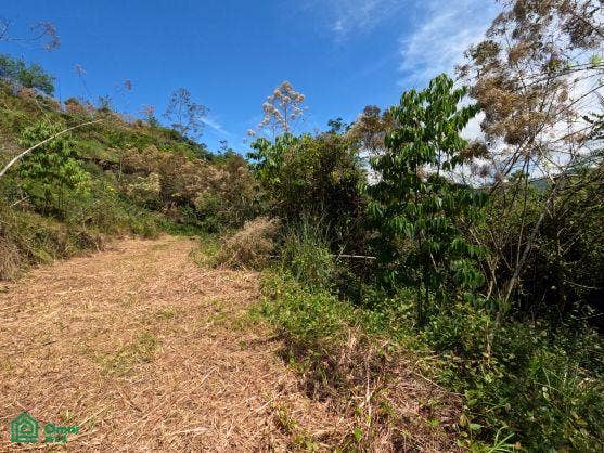 Finca en venta 2.4 hectáreas.La Suiza de Turrialba, La Suiza, Turrialba, Cartago, Costa Rica 30502