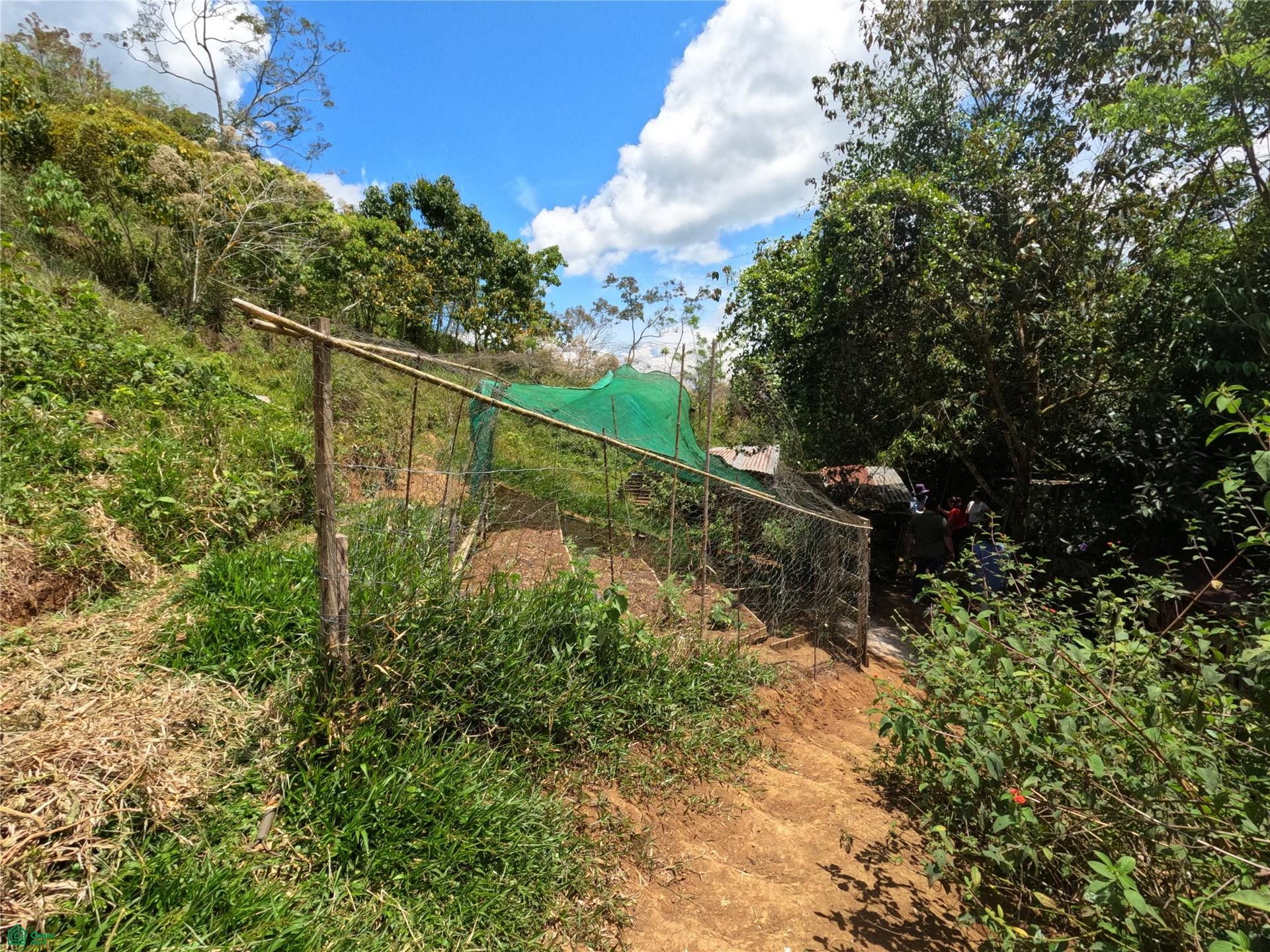 Finca en venta 2.4 hectáreas.La Suiza de Turrialba, La Suiza, Turrialba, Cartago, Costa Rica 30502