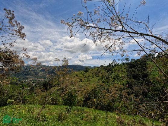 Finca en venta 2.4 hectáreas.La Suiza de Turrialba, La Suiza, Turrialba, Cartago, Costa Rica 30502