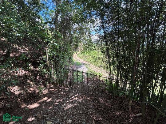 Finca en venta 2.4 hectáreas.La Suiza de Turrialba, La Suiza, Turrialba, Cartago, Costa Rica 30502