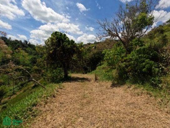Finca en venta 2.4 hectáreas.La Suiza de Turrialba, La Suiza, Turrialba, Cartago, Costa Rica 30502
