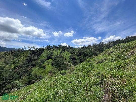 Finca en venta 2.4 hectáreas.La Suiza de Turrialba, La Suiza, Turrialba, Cartago, Costa Rica 30502