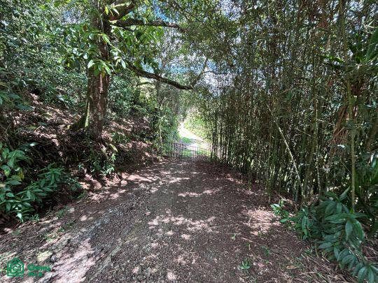 Finca en venta 2.4 hectáreas.La Suiza de Turrialba, La Suiza, Turrialba, Cartago, Costa Rica 30502