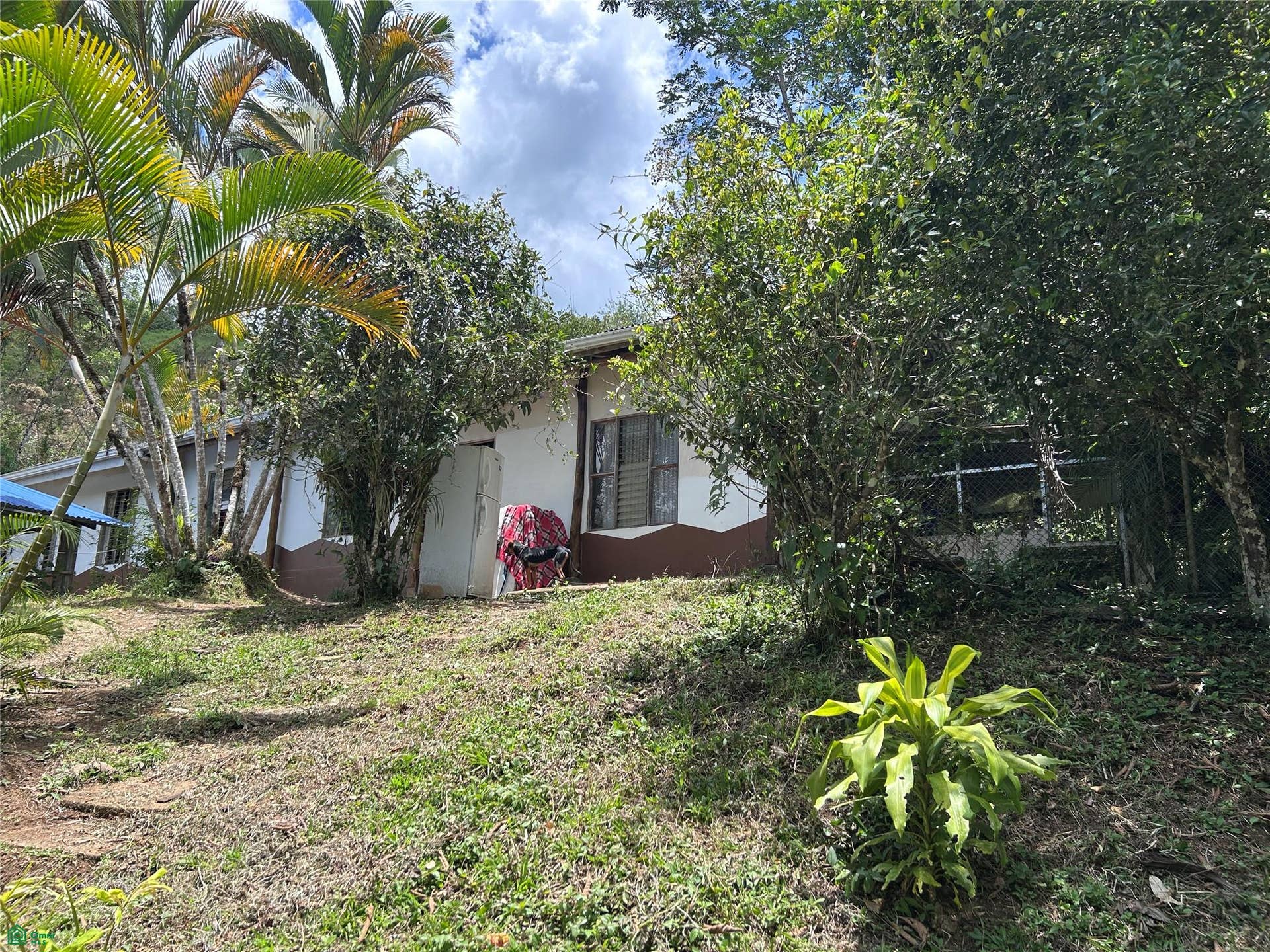 Finca en venta 2.4 hectáreas.La Suiza de Turrialba, La Suiza, Turrialba, Cartago, Costa Rica 30502