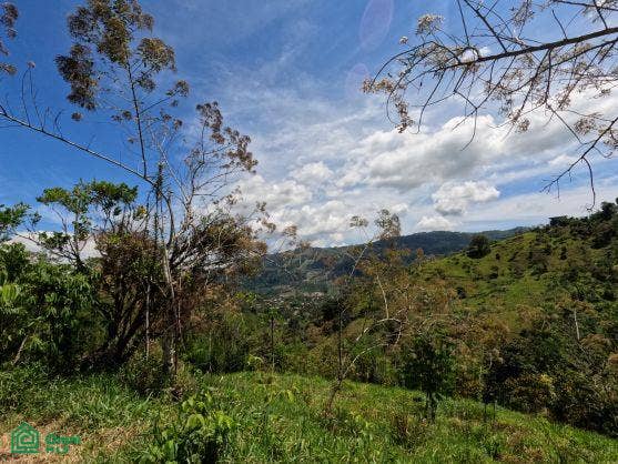 Finca en venta 2.4 hectáreas.La Suiza de Turrialba, La Suiza, Turrialba, Cartago, Costa Rica 30502