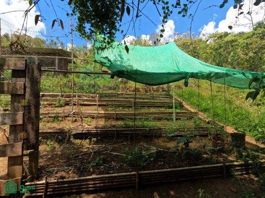 Finca en venta 2.4 hectáreas.La Suiza de Turrialba, La Suiza, Turrialba, Cartago, Costa Rica 30502