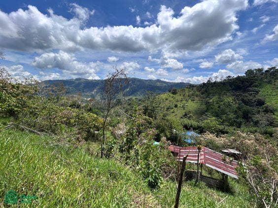 Finca en venta 2.4 hectáreas.La Suiza de Turrialba, La Suiza, Turrialba, Cartago, Costa Rica 30502