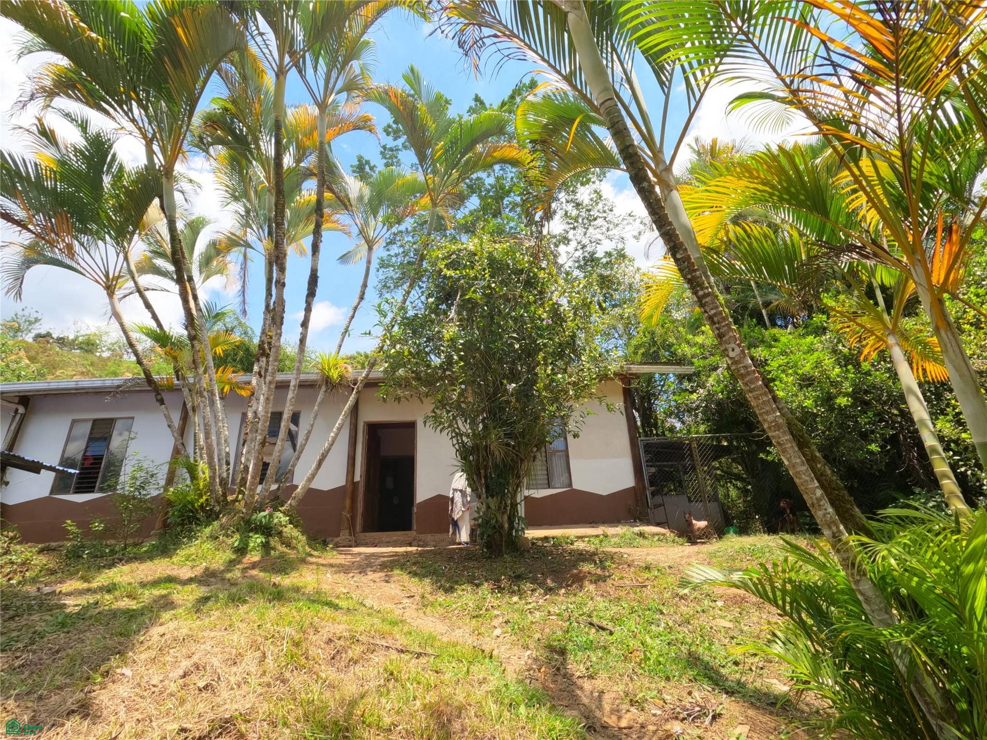 Finca en venta 2.4 hectáreas.La Suiza de Turrialba, La Suiza, Turrialba, Cartago, Costa Rica 30502