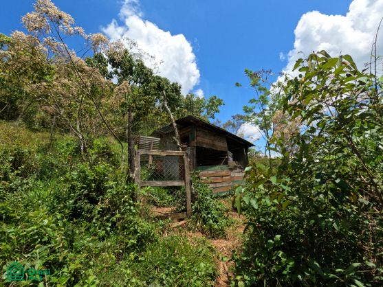 Finca en venta 2.4 hectáreas.La Suiza de Turrialba, La Suiza, Turrialba, Cartago, Costa Rica 30502