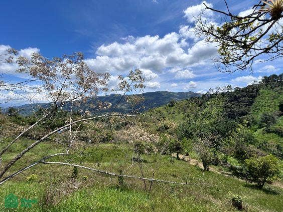 Finca en venta 2.4 hectáreas.La Suiza de Turrialba, La Suiza, Turrialba, Cartago, Costa Rica 30502