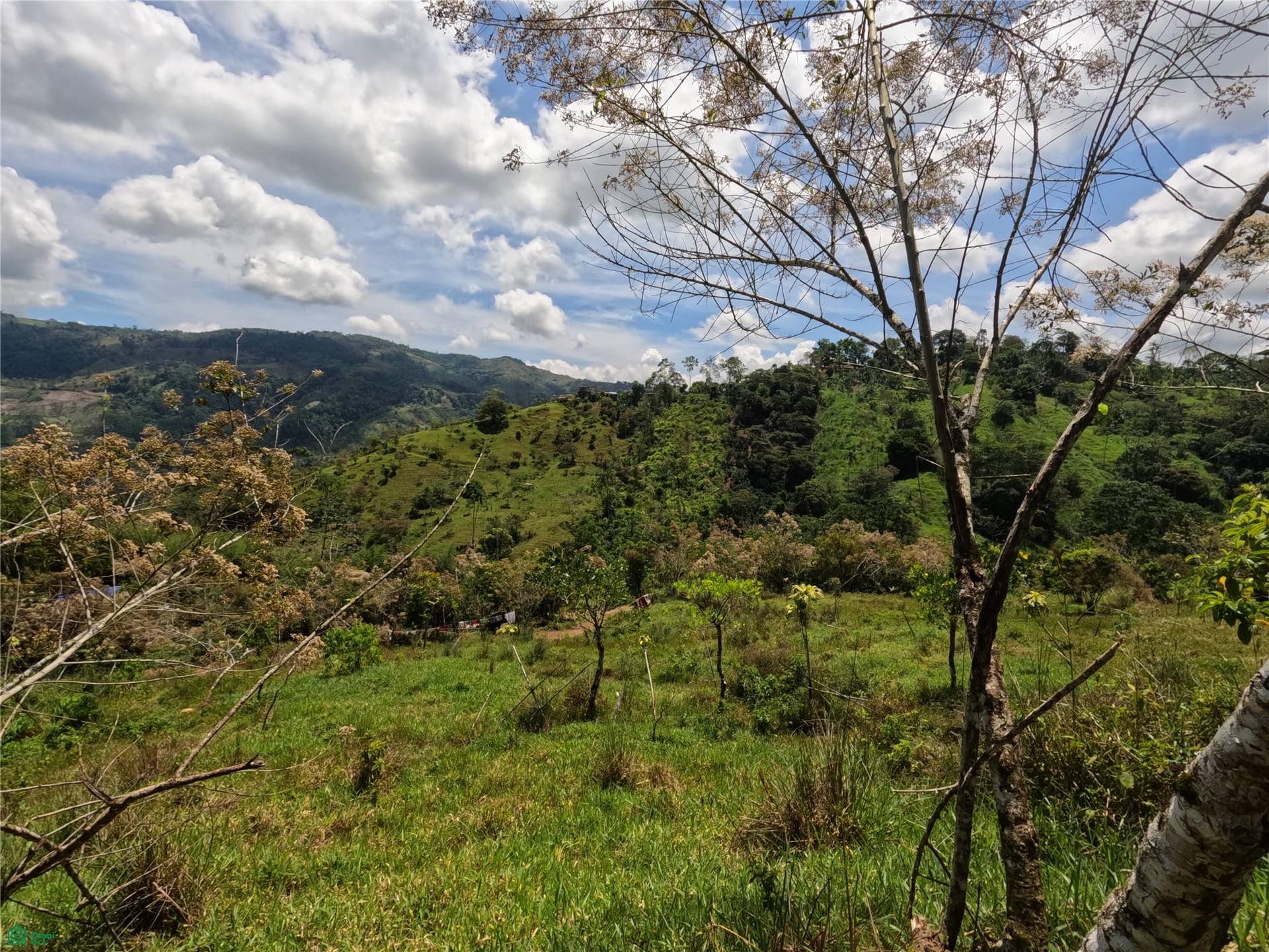 Finca en venta 2.4 hectáreas.La Suiza de Turrialba, La Suiza, Turrialba, Cartago, Costa Rica 30502